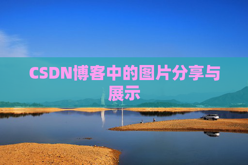 CSDN博客中的图片分享与展示